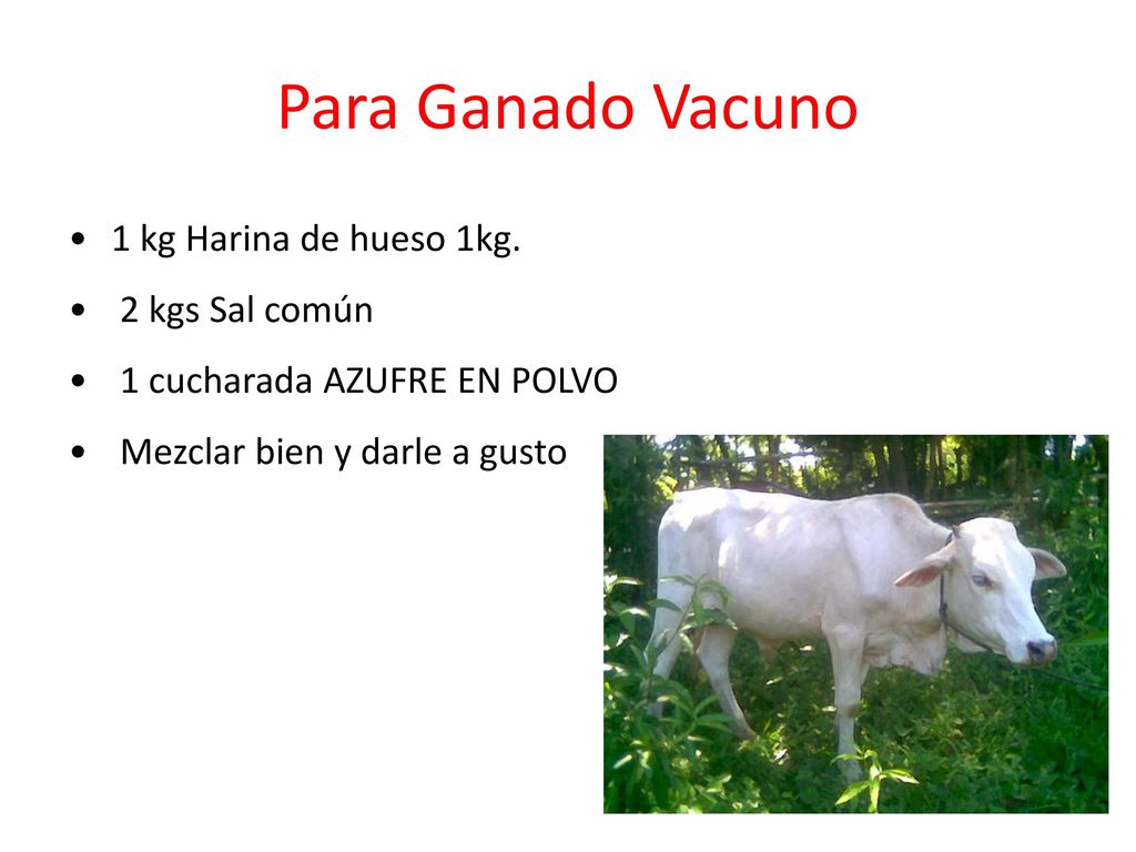 Para Ganado Vacuno 1 kg Harina de hueso 1kg. 2 kgs Sal común