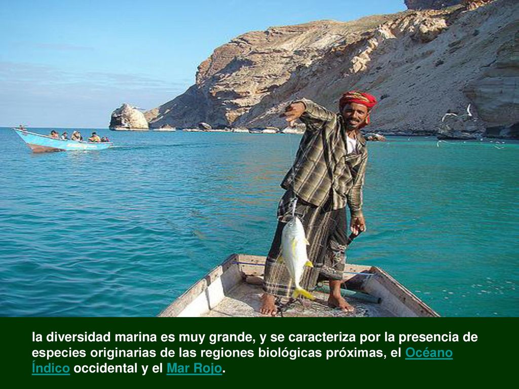 la diversidad marina es muy grande, y se caracteriza por la presencia de especies originarias de las regiones biológicas próximas, el Océano Índico occidental y el Mar Rojo.