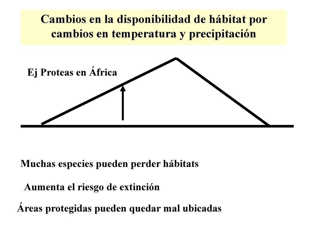 Cambios en la disponibilidad de hábitat por cambios en temperatura y precipitación