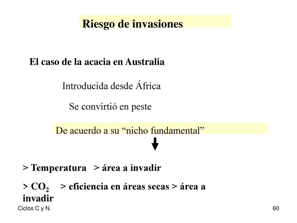 Riesgo de invasiones El caso de la acacia en Australia