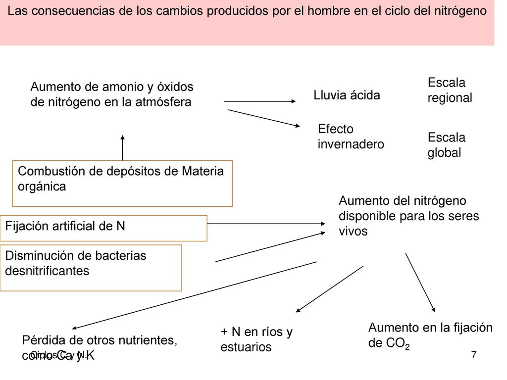 Aumento de amonio y óxidos de nitrógeno en la atmósfera Lluvia ácida
