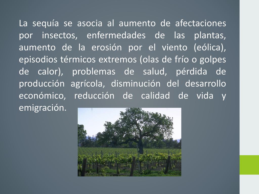 La sequía se asocia al aumento de afectaciones por insectos, enfermedades de las plantas, aumento de la erosión por el viento (eólica), episodios térmicos extremos (olas de frío o golpes de calor), problemas de salud, pérdida de producción agrícola, disminución del desarrollo económico, reducción de calidad de vida y emigración.