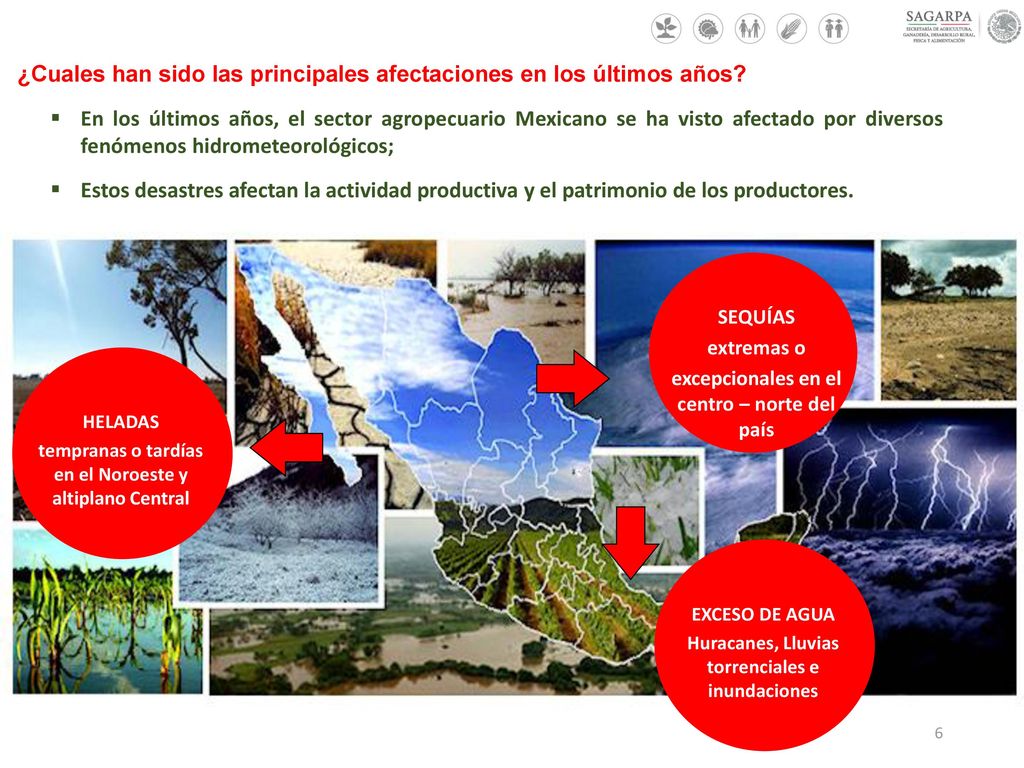¿Cuales han sido las principales afectaciones en los últimos años