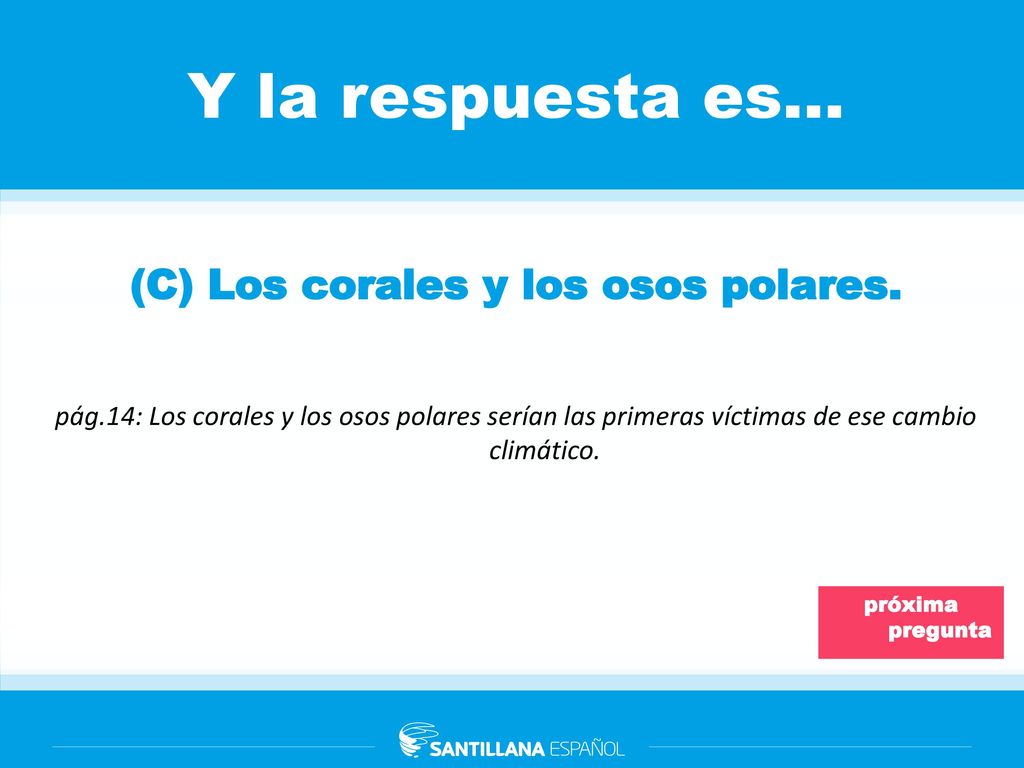 (C) Los corales y los osos polares.