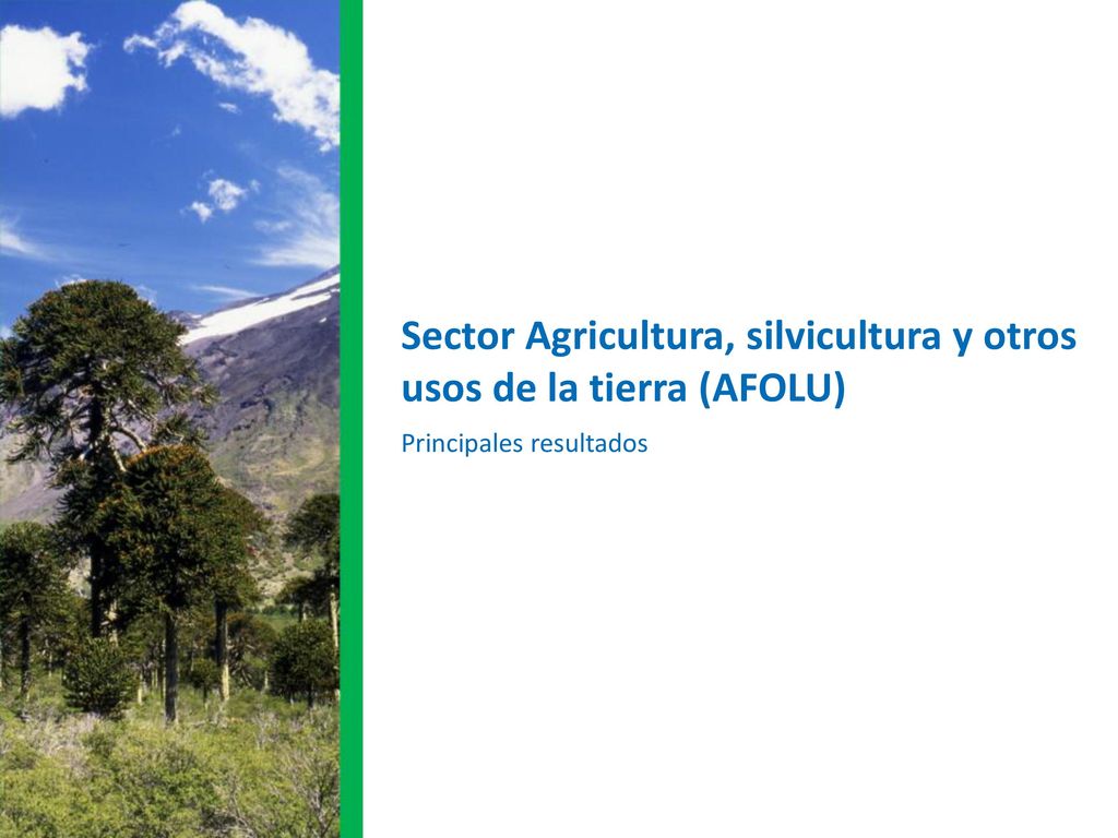 Sector Agricultura, silvicultura y otros usos de la tierra (AFOLU)
