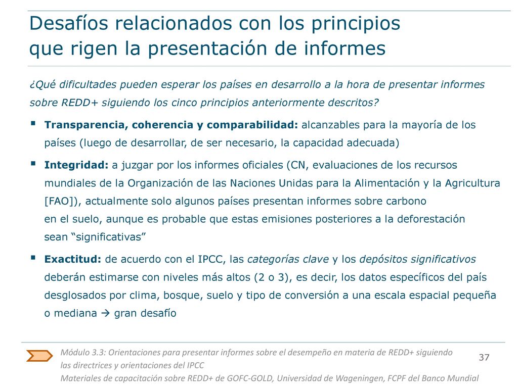 Desafíos relacionados con los principios que rigen la presentación de informes
