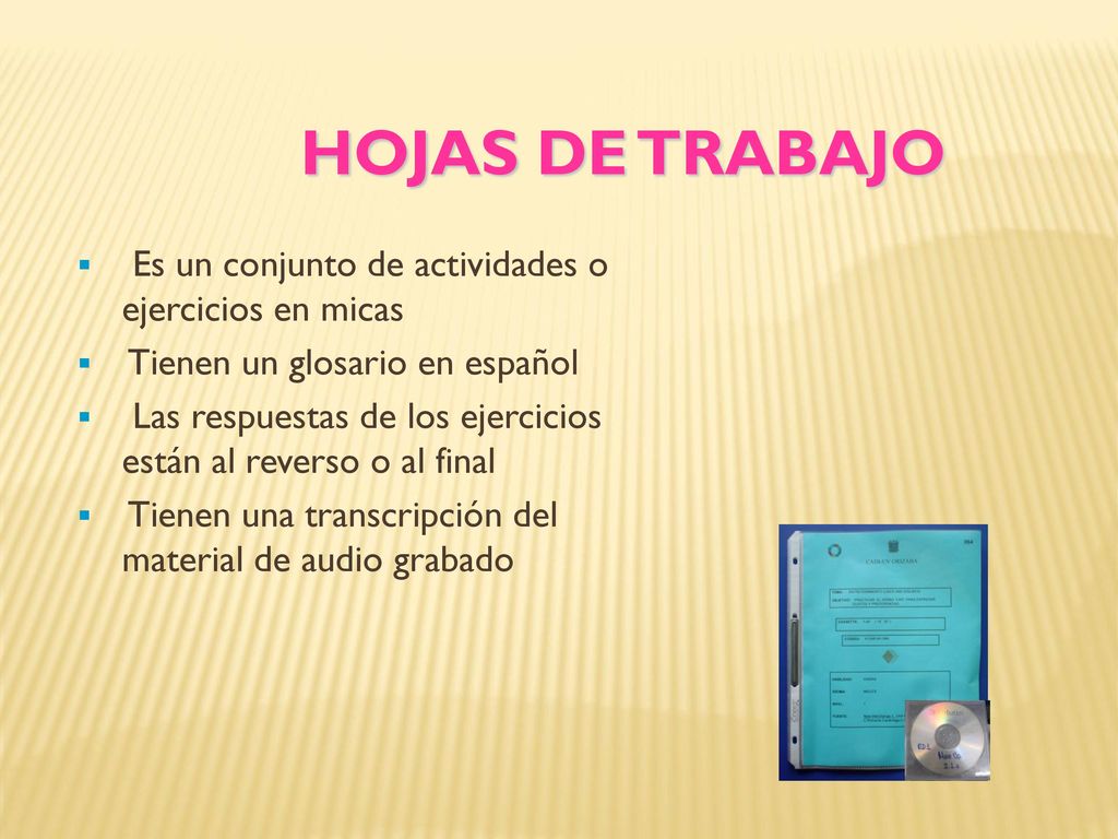 HOJAS DE TRABAJO Es un conjunto de actividades o ejercicios en micas
