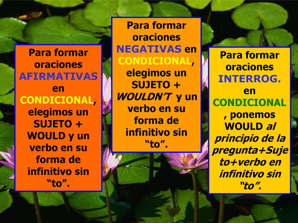 Para formar oraciones NEGATIVAS en CONDICIONAL, elegimos un SUJETO + WOULDN’T y un verbo en su forma de infinitivo sin to .