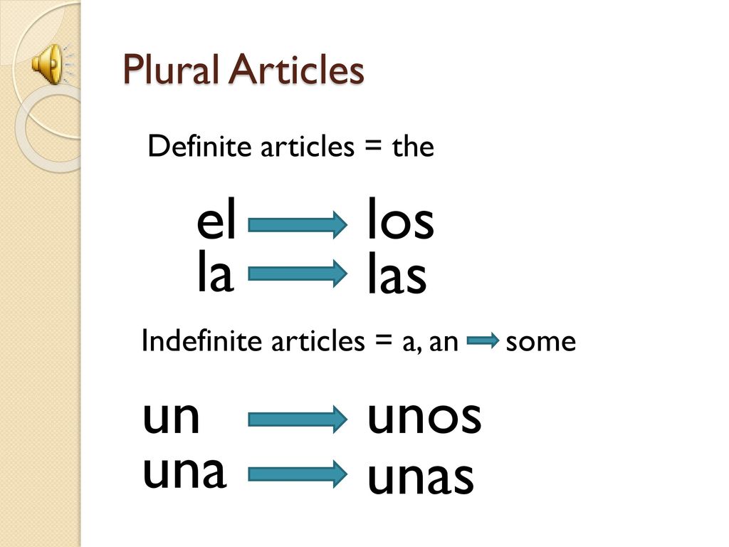 el los la las un unos una unas Plural Articles Definite articles = the