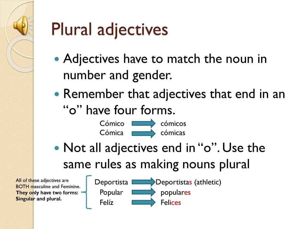 Plural adjectives Adjectives have to match the noun in number and gender. Remember that adjectives that end in an o have four forms.