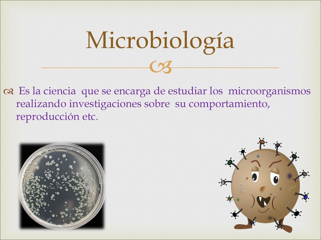 Microbiología Es la ciencia que se encarga de estudiar los microorganismos realizando investigaciones sobre su comportamiento, reproducción etc.