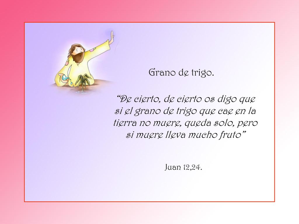 Grano de trigo. De cierto, de cierto os digo que si el grano de trigo que cae en la tierra no muere, queda solo, pero si muere lleva mucho fruto