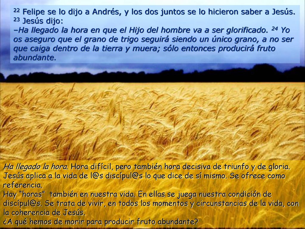 22 Felipe se lo dijo a Andrés, y los dos juntos se lo hicieron saber a Jesús. 23 Jesús dijo: –Ha llegado la hora en que el Hijo del hombre va a ser glorificado. 24 Yo os aseguro que el grano de trigo seguirá siendo un único grano, a no ser que caiga dentro de la tierra y muera; sólo entonces producirá fruto abundante.