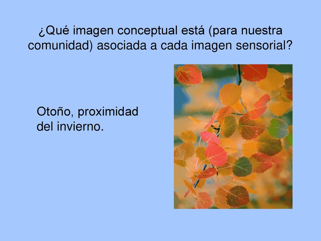 ¿Qué imagen conceptual está (para nuestra comunidad) asociada a cada imagen sensorial