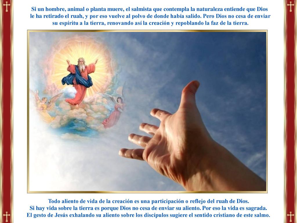 Si un hombre, animal o planta muere, el salmista que contempla la naturaleza entiende que Dios