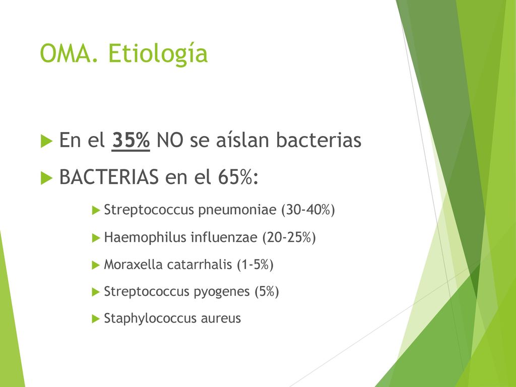 OMA. Etiología En el 35% NO se aíslan bacterias BACTERIAS en el 65%:
