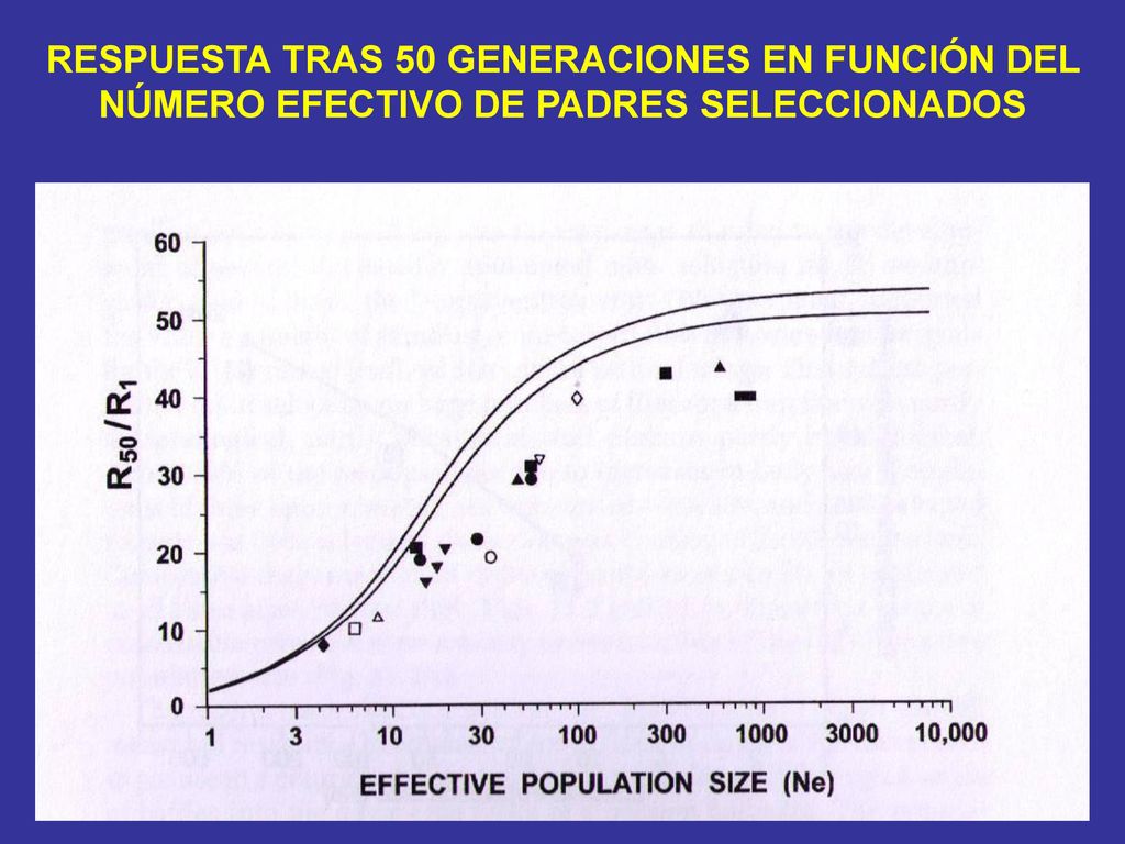 RESPUESTA TRAS 50 GENERACIONES EN FUNCIÓN DEL NÚMERO EFECTIVO DE PADRES SELECCIONADOS