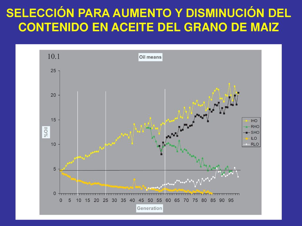 SELECCIÓN PARA AUMENTO Y DISMINUCIÓN DEL CONTENIDO EN ACEITE DEL GRANO DE MAIZ