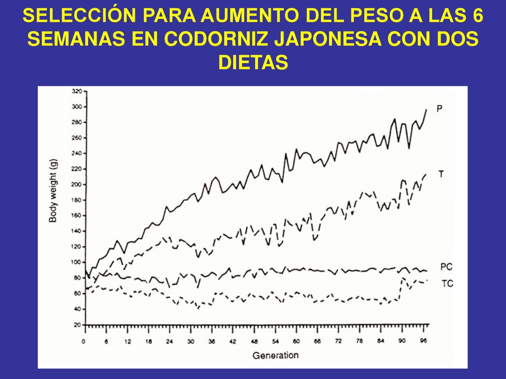 SELECCIÓN PARA AUMENTO DEL PESO A LAS 6 SEMANAS EN CODORNIZ JAPONESA CON DOS DIETAS