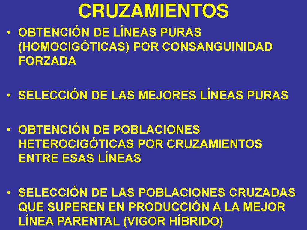 CRUZAMIENTOS OBTENCIÓN DE LÍNEAS PURAS (HOMOCIGÓTICAS) POR CONSANGUINIDAD FORZADA. SELECCIÓN DE LAS MEJORES LÍNEAS PURAS.