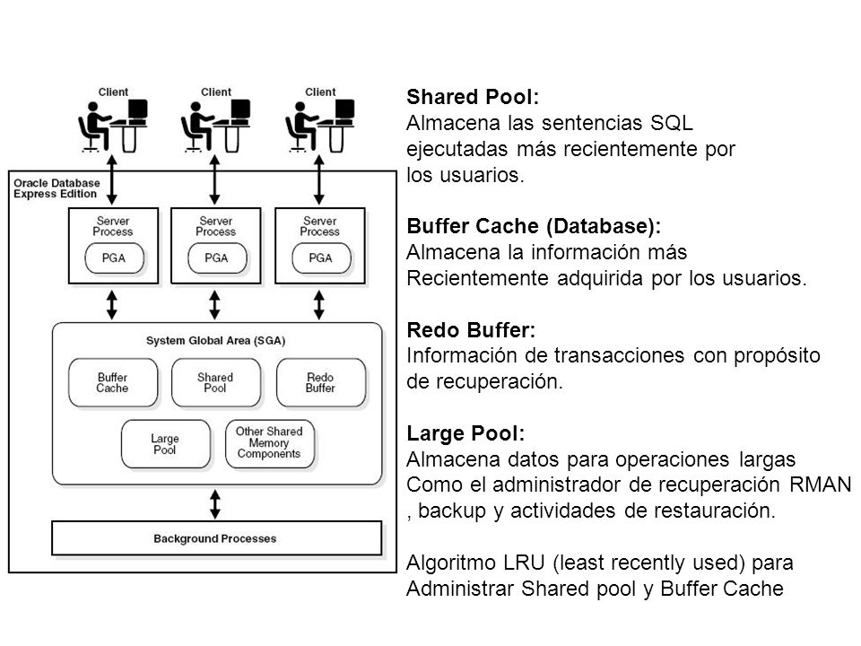 Shared Pool: Almacena las sentencias SQL. ejecutadas más recientemente por. los usuarios. Buffer Cache (Database):