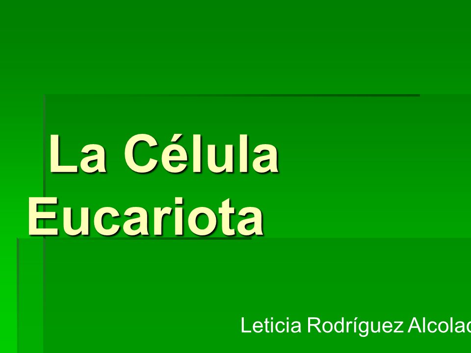 La Célula Eucariota Leticia Rodríguez Alcolado