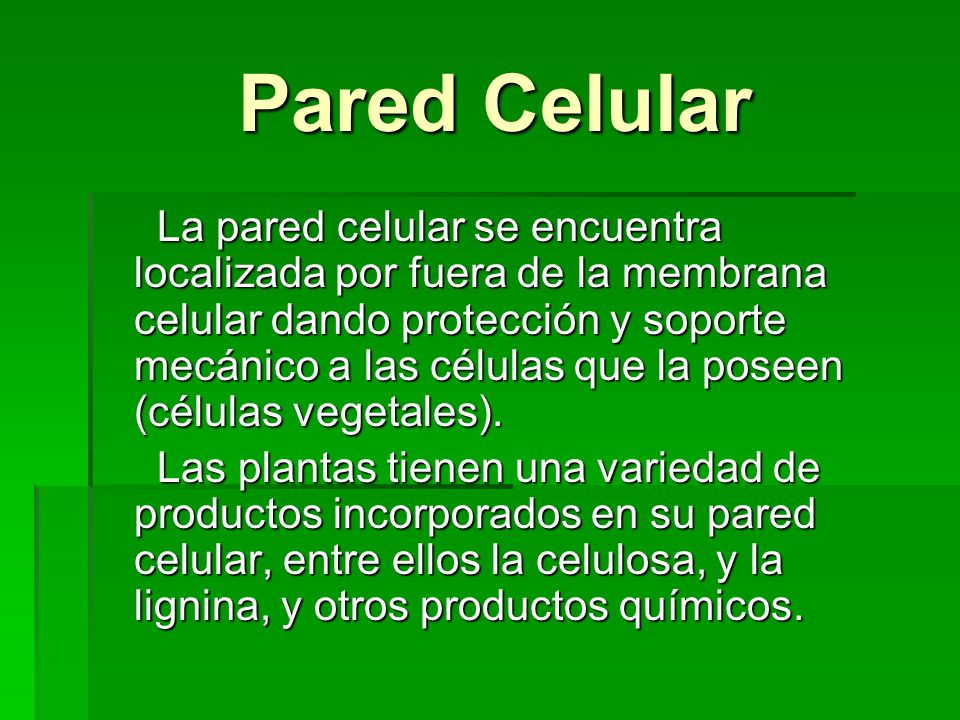 Pared Celular