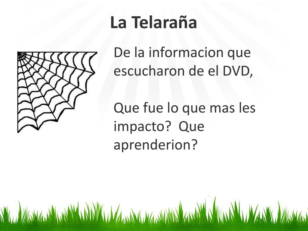 La Telaraña De la informacion que escucharon de el DVD,