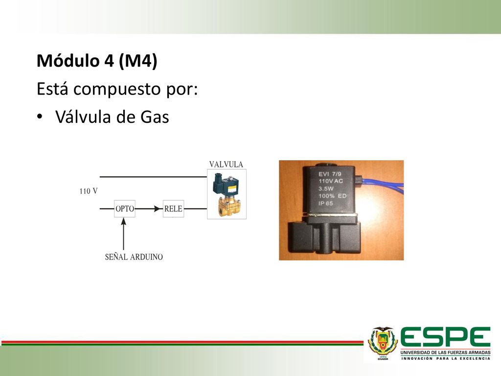 Módulo 4 (M4) Está compuesto por: Válvula de Gas