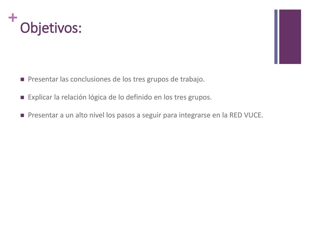 Objetivos: Presentar las conclusiones de los tres grupos de trabajo.