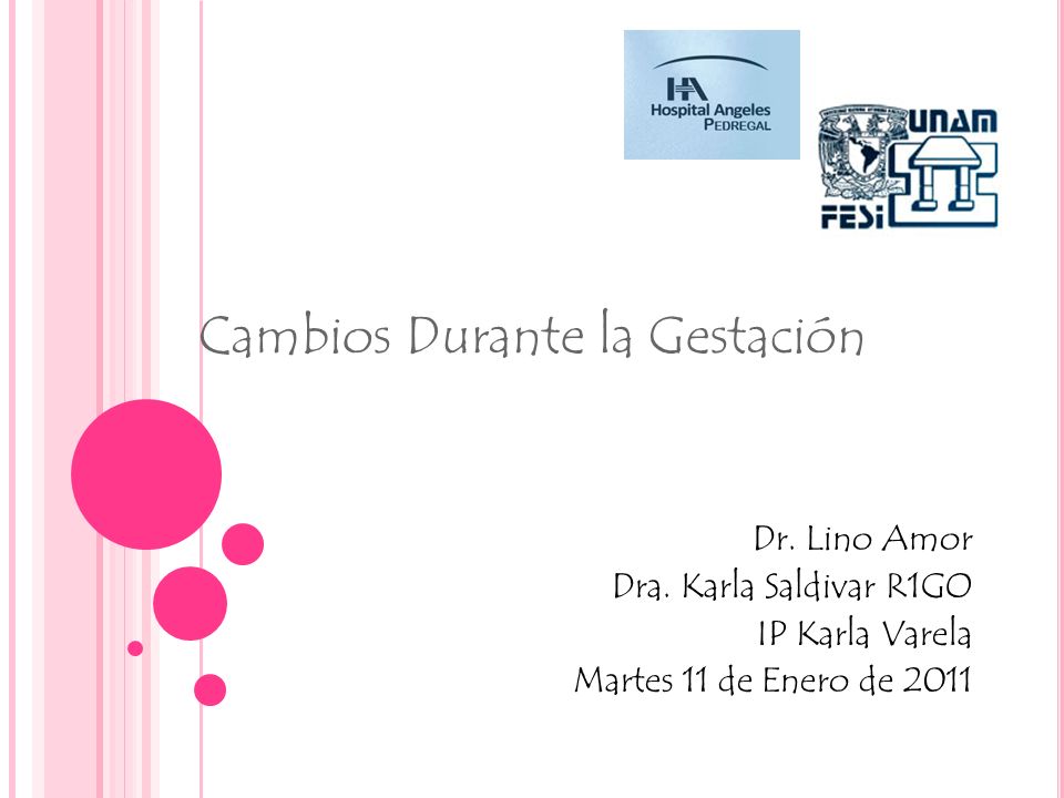Cambios Durante la Gestación