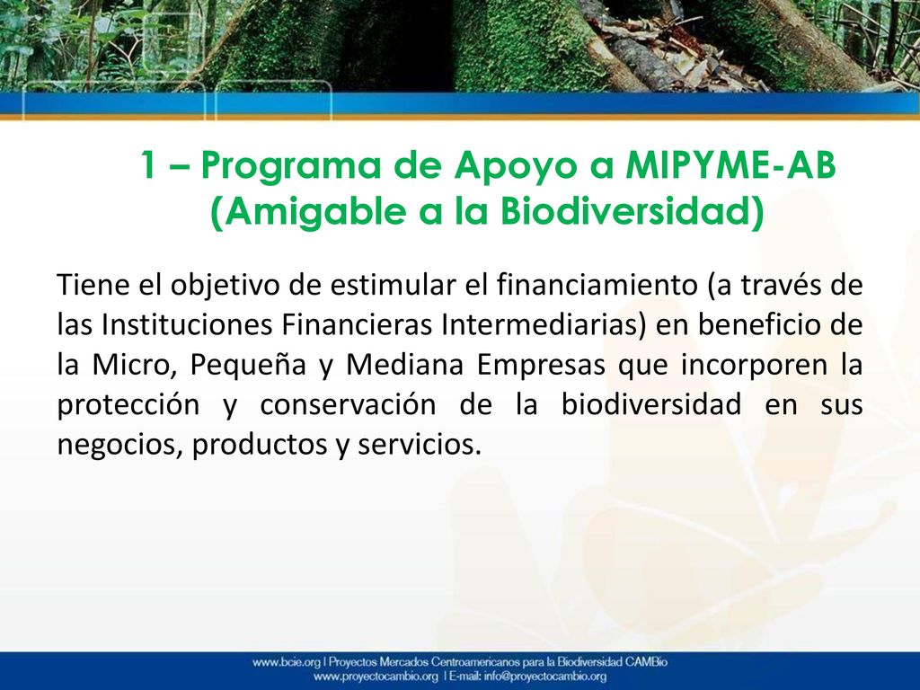 1 – Programa de Apoyo a MIPYME-AB (Amigable a la Biodiversidad)