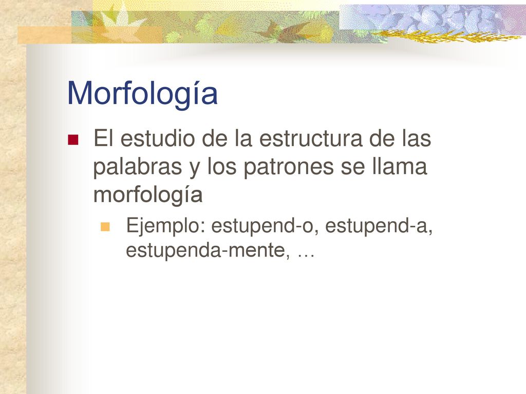 Morfología El estudio de la estructura de las palabras y los patrones se llama morfología.