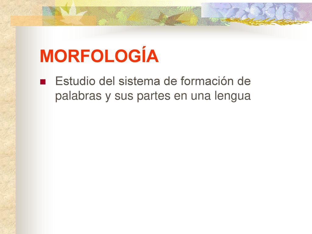 MORFOLOGÍA Estudio del sistema de formación de palabras y sus partes en una lengua