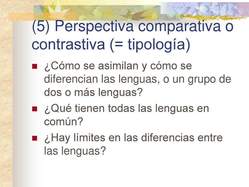 (5) Perspectiva comparativa o contrastiva (= tipología)