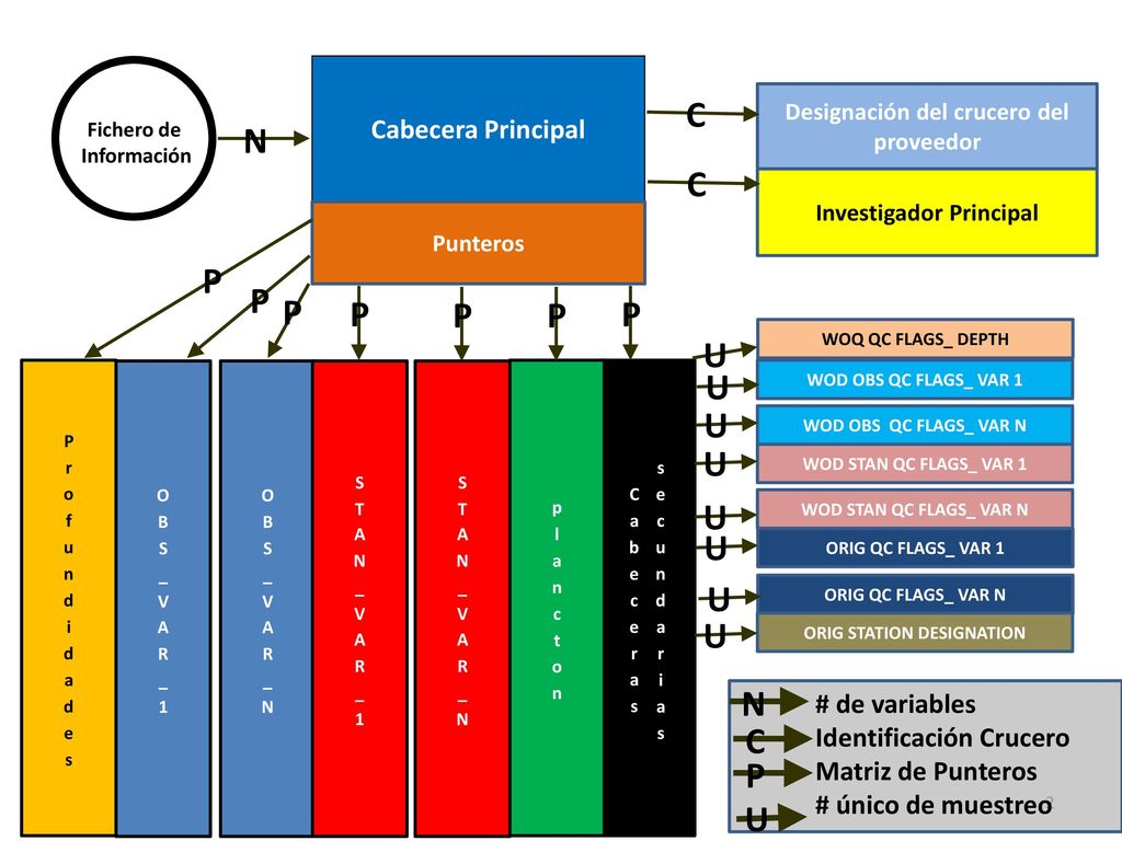 C N C P P P P P P P U U U U U U U U U N C P Cabecera Principal