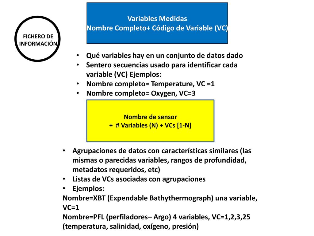 Nombre Completo+ Código de Variable (VC) + # Variables (N) + VCs [1-N]