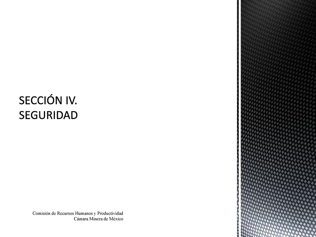 SECCIÓN IV. SEGURIDAD Comisión de Recursos Humanos y Productividad Cámara Minera de México