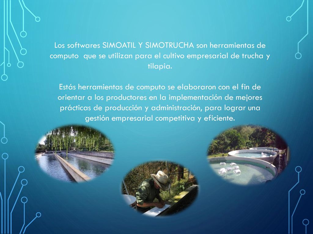 Los softwares SIMOATIL Y SIMOTRUCHA son herramientas de computo que se utilizan para el cultivo empresarial de trucha y tilapia.