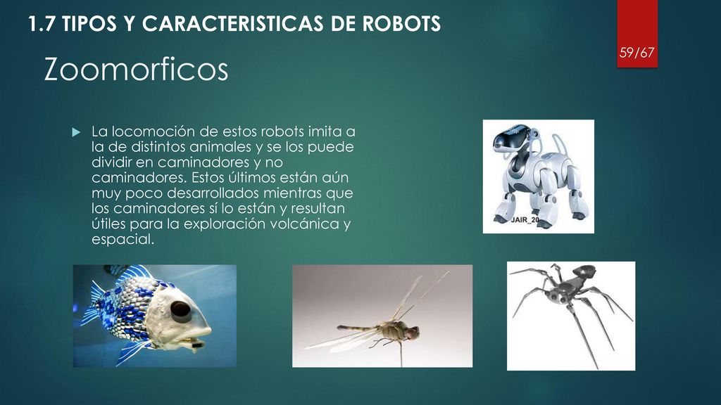 Morfología del robot Instituto tecnológico de Veracruz. - ppt descargar