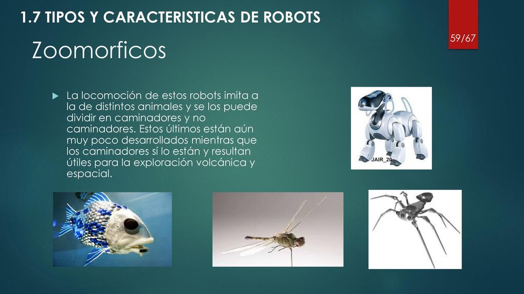 Zoomorficos 1.7 TIPOS Y CARACTERISTICAS DE ROBOTS