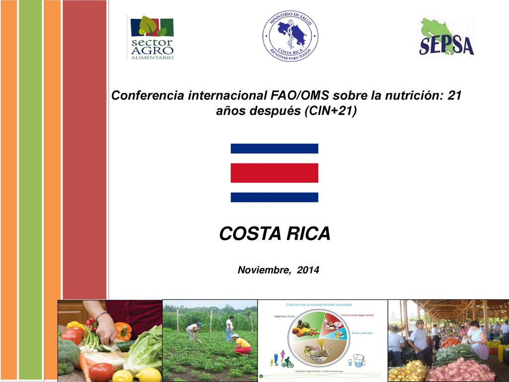 Noviembre, 2014 Conferencia internacional FAO/OMS sobre la nutrición: 21 años después (CIN+21) COSTA RICA.
