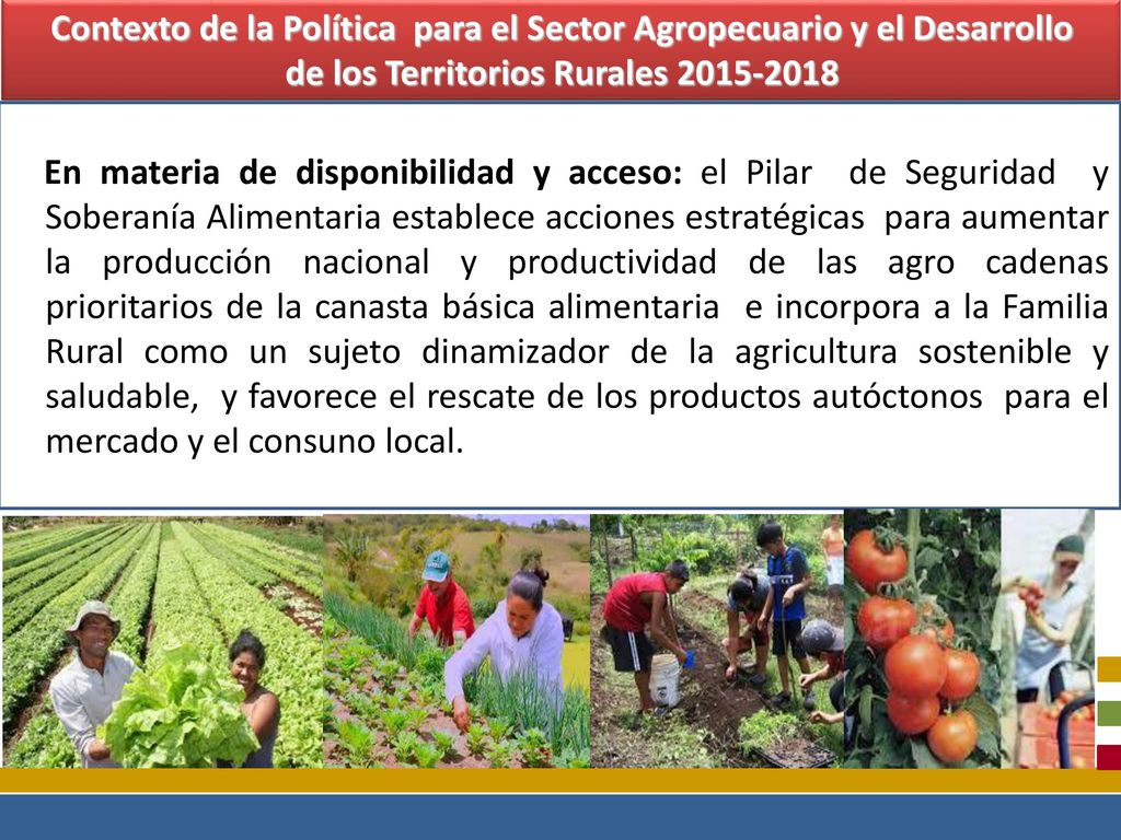 Contexto de la Política para el Sector Agropecuario y el Desarrollo