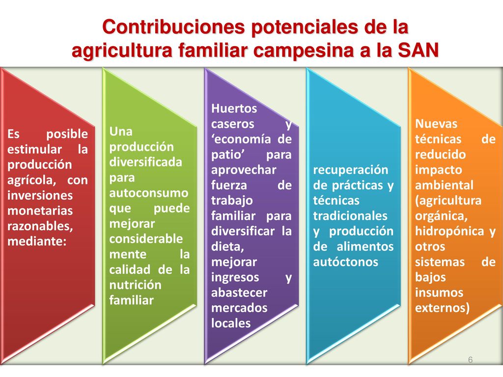 Contribuciones potenciales de la agricultura familiar campesina a la SAN
