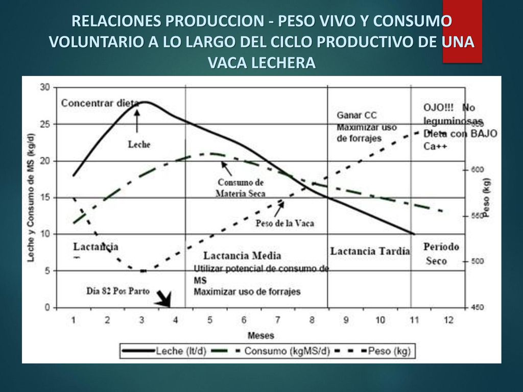 RELACIONES PRODUCCION - PESO VIVO Y CONSUMO VOLUNTARIO A LO LARGO DEL CICLO PRODUCTIVO DE UNA VACA LECHERA