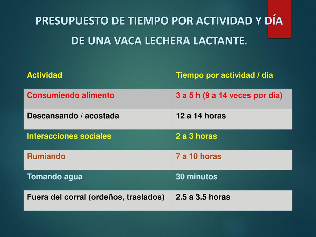 PRESUPUESTO DE TIEMPO POR ACTIVIDAD Y DÍA DE UNA VACA LECHERA LACTANTE.
