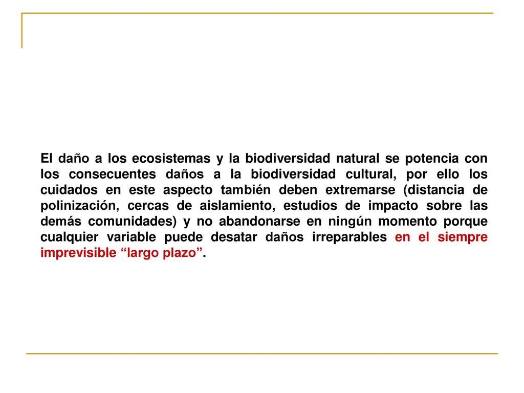 El daño a los ecosistemas y la biodiversidad natural se potencia con los consecuentes daños a la biodiversidad cultural, por ello los cuidados en este aspecto también deben extremarse (distancia de polinización, cercas de aislamiento, estudios de impacto sobre las demás comunidades) y no abandonarse en ningún momento porque cualquier variable puede desatar daños irreparables en el siempre imprevisible largo plazo .