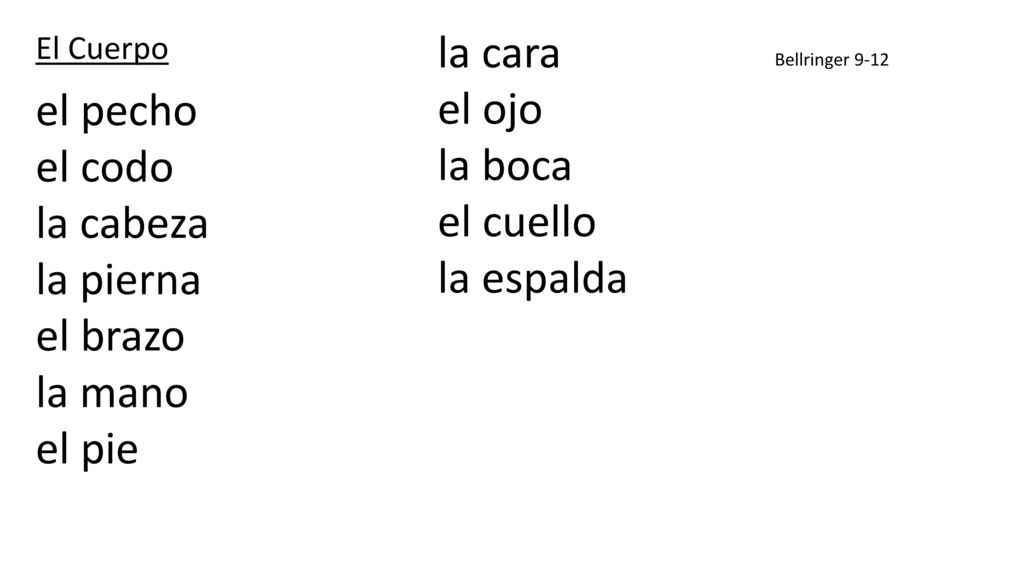 la cara el pecho el ojo el codo la boca la cabeza el cuello la pierna