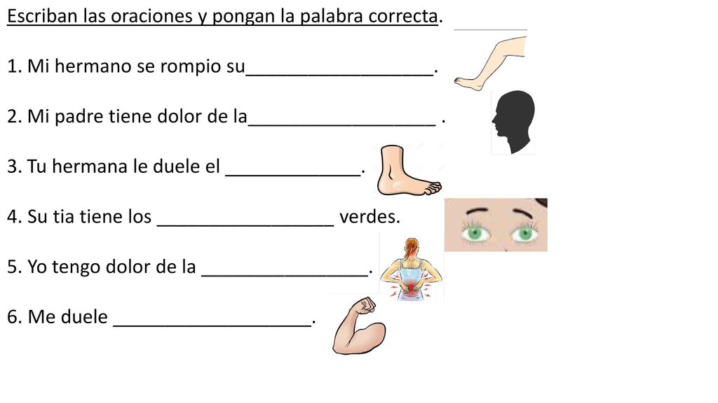 Escriban las oraciones y pongan la palabra correcta.