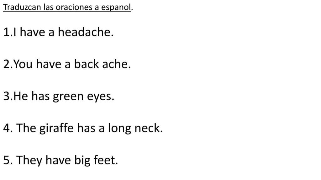4. The giraffe has a long neck. 5. They have big feet.